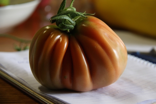 periforme abruzzese tomato