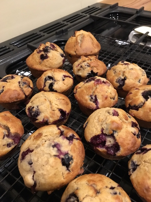 Soudough fruit muffins